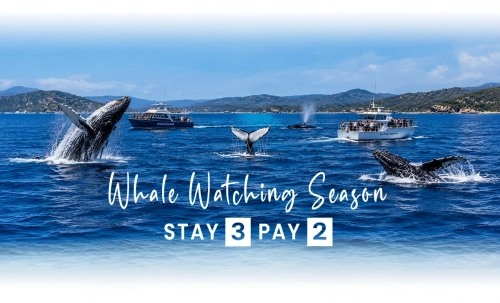 Whale Watching Season - Stay 3 pay 2