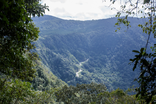 Eungella National Park